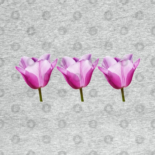 Three Mauve Tulips Photo by ellenhenryart